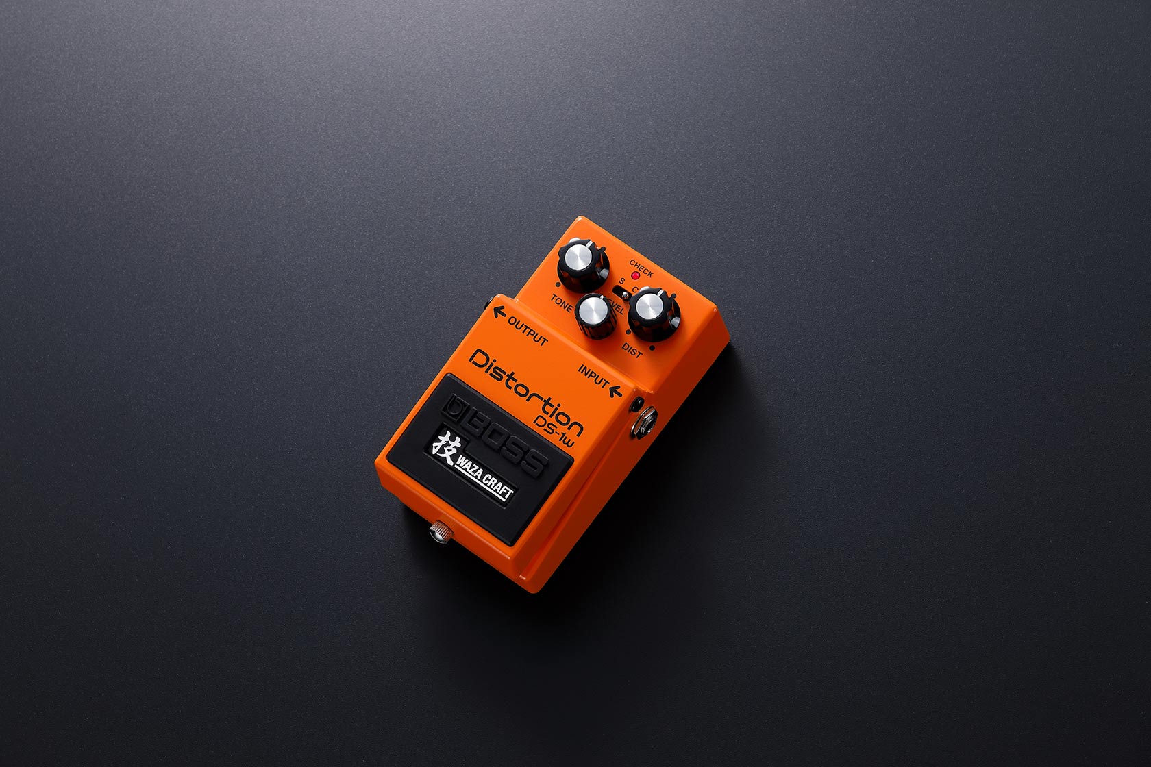 DS-1W Slider4